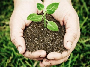 agricultura-sostenible