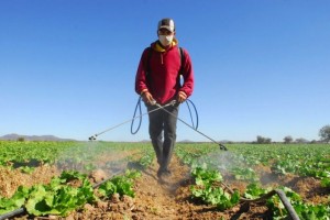 control-biologico-de-plagas-impulsa-a-la-agricultura