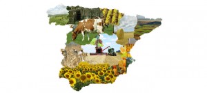 sector-ecologico-crece