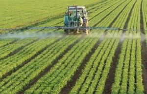 FERTILIZANTS AGRICOLAS