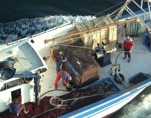 Pesca ajuts innovació