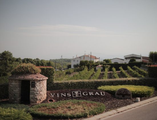 Celler Grau i Grau