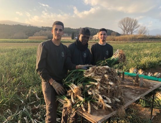 OBRA TUTELAR AGRÀRIA