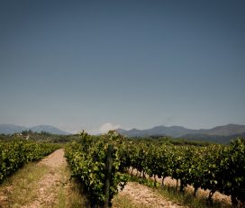 Cellers d’en Guilla