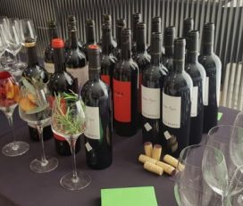 Debina Wine Solutions