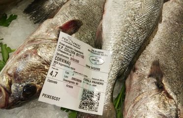 Peixos Alejandro
