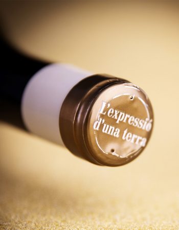 Vins i Licors Grau