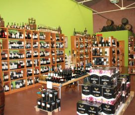 Bodega Les Tines