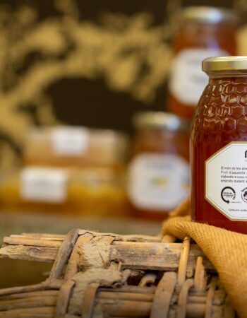 Mel Muria i artMuria