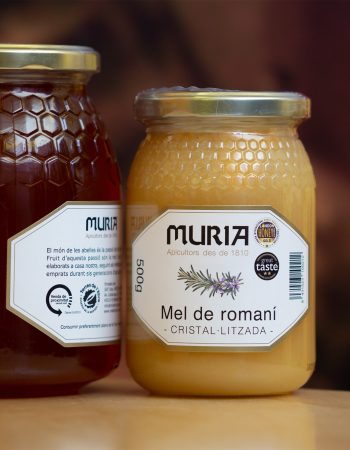 Mel Muria i artMuria