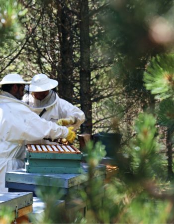 Mel Muria i artMuria