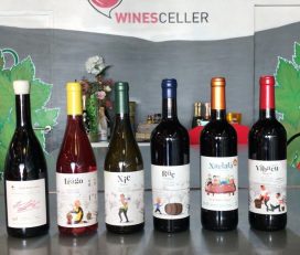 Wines celler