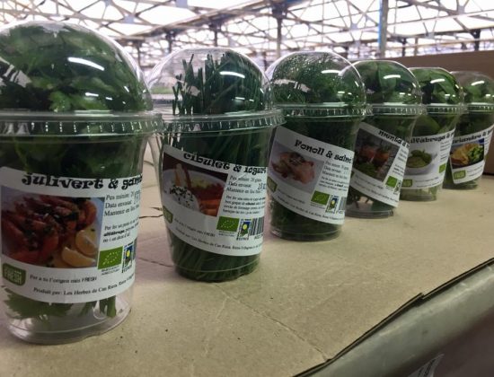 LES HERBES DE CAN RIERA
