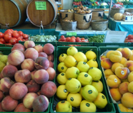 Fruites Barberà S.L.