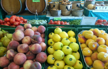 Fruites Barberà S.L.