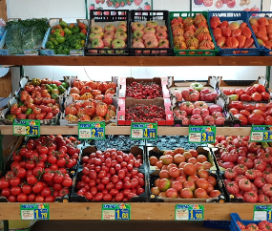 Fruites Germans Martinez