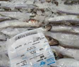 Peixos Maria Teresa S.L.