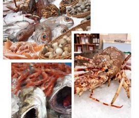 Peixos Nolla