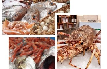Peixos Nolla