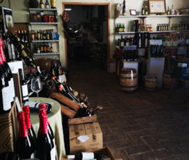 Vins Carbonell