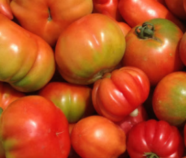 Verd Fruit Arán S C P