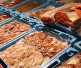 Peixos Leon