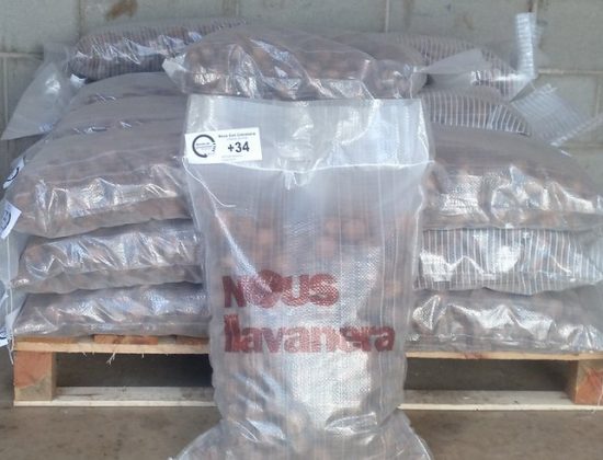 Nous Can Llavanera