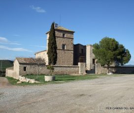 Jaumandreu
