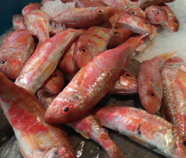 La Peixateria D’argentona
