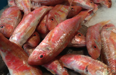 La Peixateria D’argentona