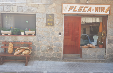 FLECA MIR PA DE PAGÈS, COQUES I BRIOIXERIA