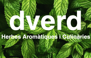 DVerd, herbes aromàtiques i culinàries