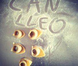 Can Lleó