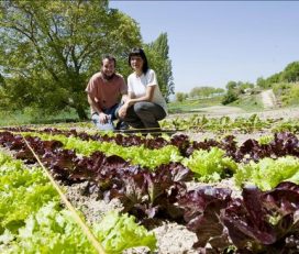 Cooperativa Agrícola Alcover