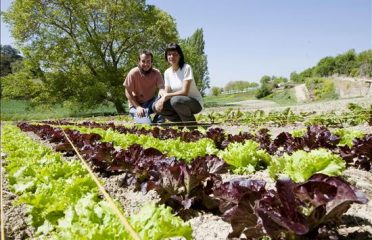 Cooperativa Agrícola Alcover