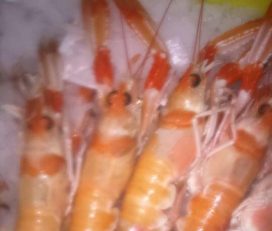 Peixateria Gil