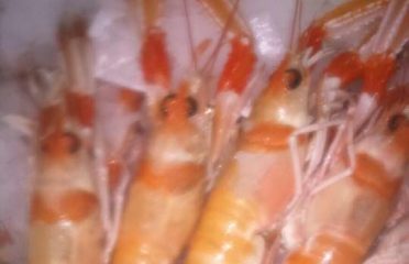 Peixateria Gil