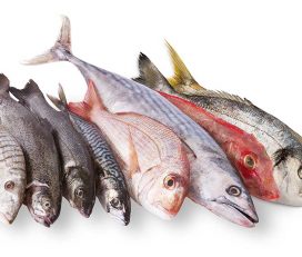 Peixateria Maria Dolors
