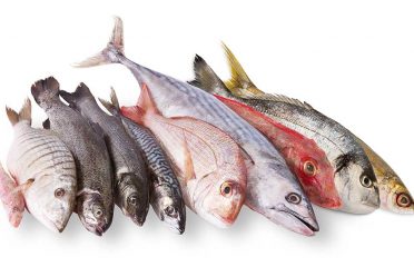 Peixateria Maria Dolors