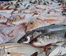 Peixateria Mari
