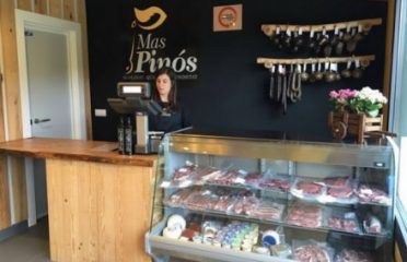 Mas Pinós