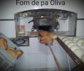 Oliva