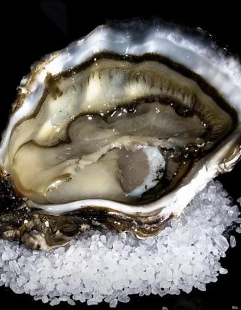 THE ART OF SEA & SEAFOOD