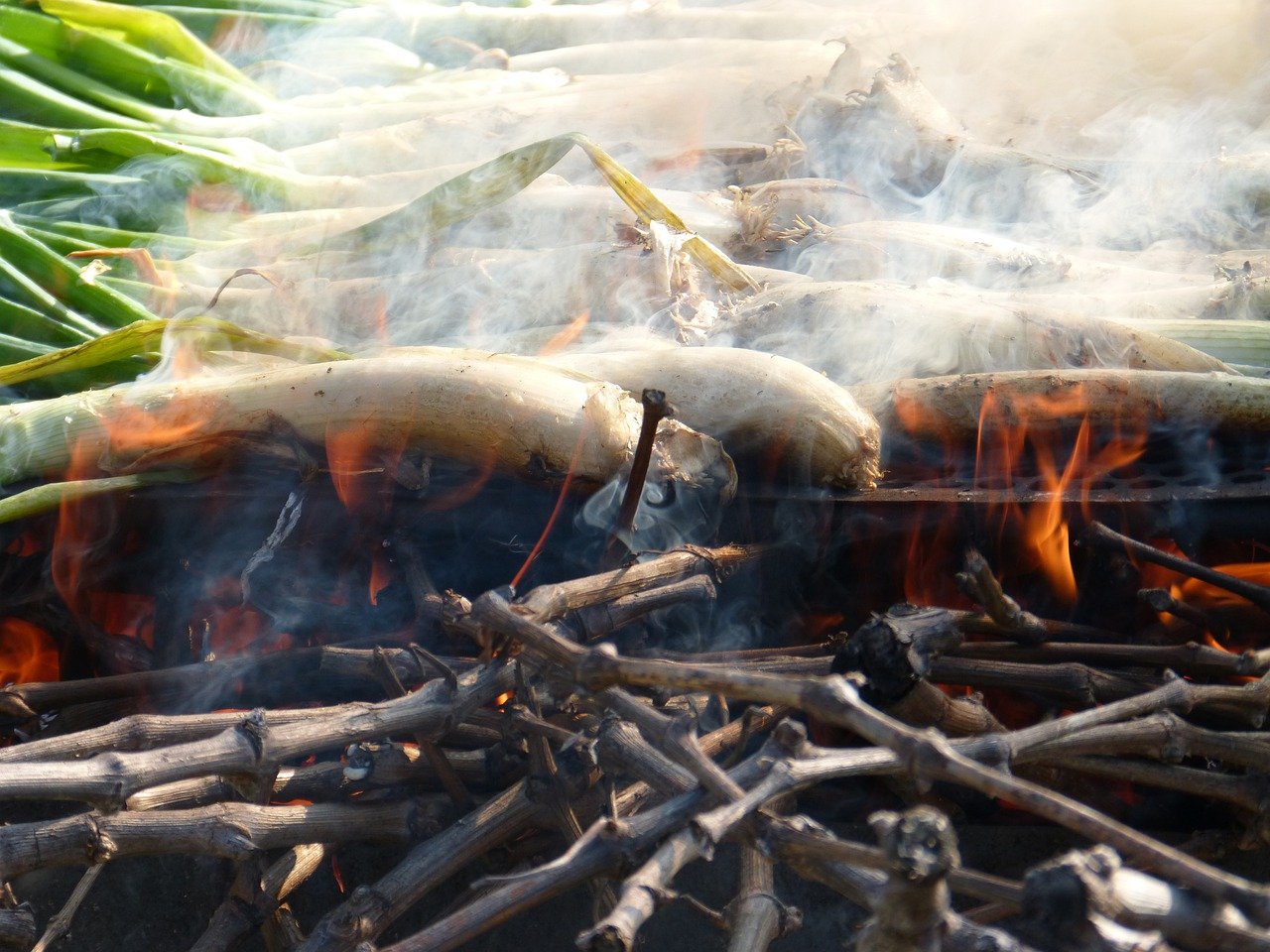calçots endur