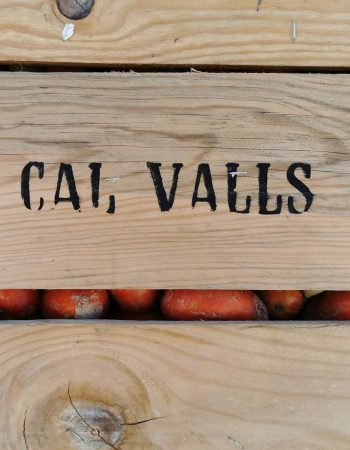 Cal Valls verdures