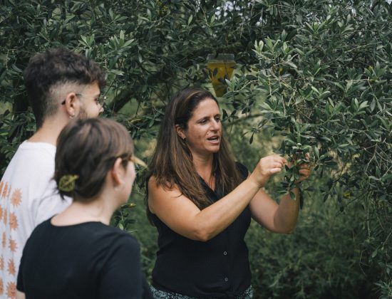 FONTCLARA – ZANOTELLI