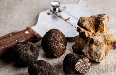 Farré Vidal cultiva tòfones negres de les Garrigues