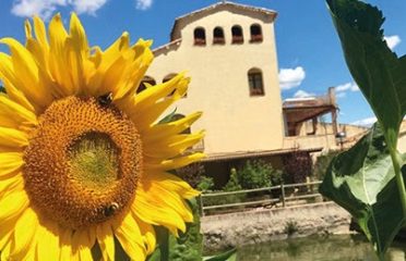 Llet fresca com la d’abans de la Torre d’en Roca