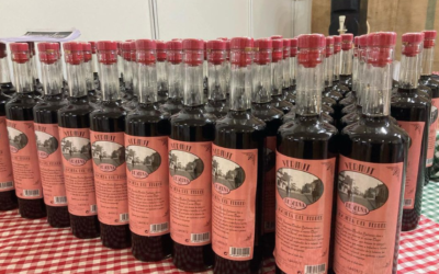 Vermut Sisqueta Vermut Sisqueta