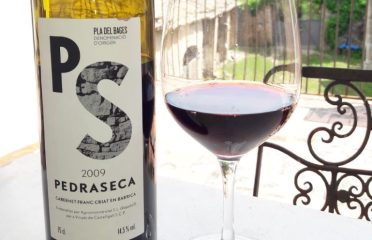 El resorgir de les vinyes de Castellgalí
